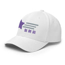 Unisex Closed - Back Structured Cap - Arekkusu - Store