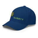 Unisex Closed - Back Structured Cap - Arekkusu - Store