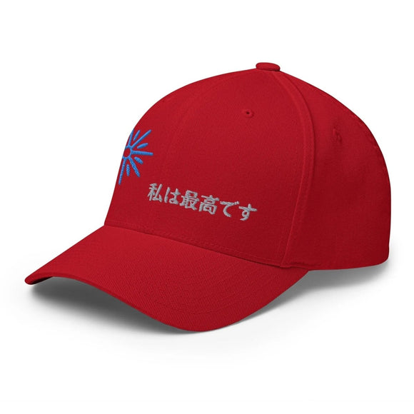 Unisex Closed - Back Structured Cap - Arekkusu - Store