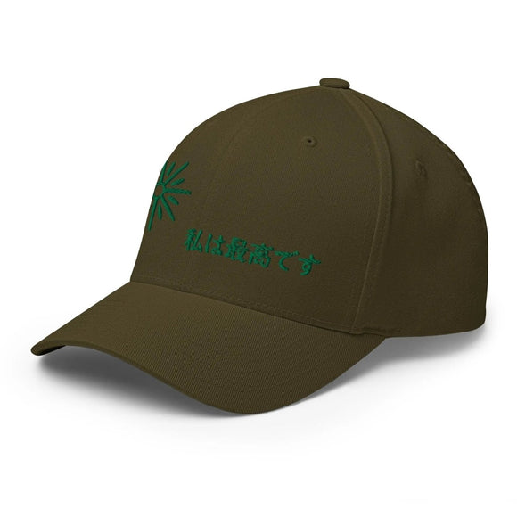 Unisex Closed - Back Structured Cap - Arekkusu - Store