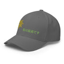 Unisex Closed - Back Structured Cap - Arekkusu - Store