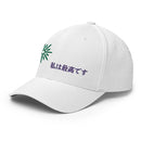 Unisex Closed - Back Structured Cap - Arekkusu - Store