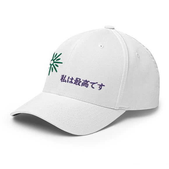 Unisex Closed - Back Structured Cap - Arekkusu - Store
