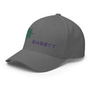 Unisex Closed - Back Structured Cap - Arekkusu - Store