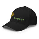 Unisex Closed - Back Structured Cap - Arekkusu - Store
