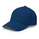 Unisex Closed - Back Structured Cap - Arekkusu - Store
