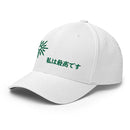 Unisex Closed - Back Structured Cap - Arekkusu - Store