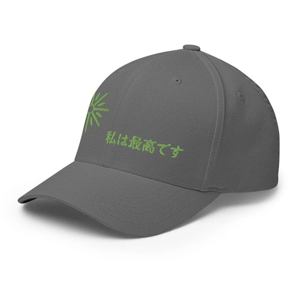 Unisex Closed - Back Structured Cap - Arekkusu - Store