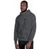 Unisex Heavy Blend Hoodie - Arekkusu - Store