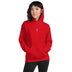 Unisex Heavy Blend Hoodie - Arekkusu - Store