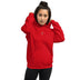 Unisex Heavy Blend Hoodie - Arekkusu - Store