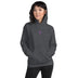 Unisex Heavy Blend Hoodie - Arekkusu - Store
