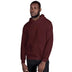Unisex Heavy Blend Hoodie - Arekkusu - Store