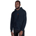 Unisex Heavy Blend Hoodie - Arekkusu - Store