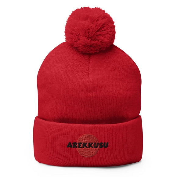 Unisex Pom - Pom Knit Beanie - Arekkusu - Store