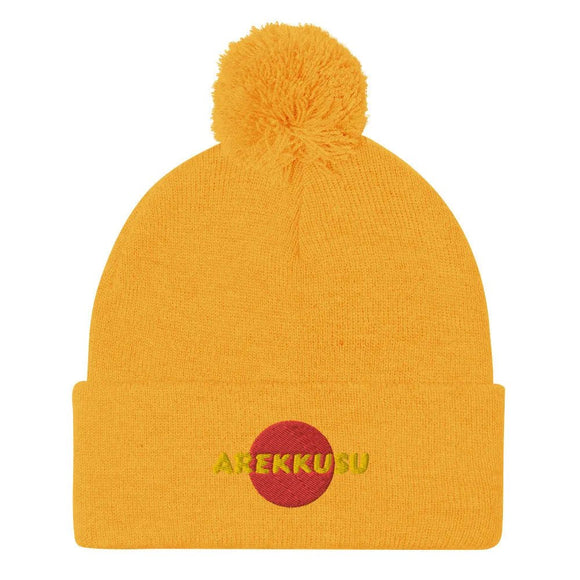 Unisex Pom - Pom Knit Beanie - Arekkusu - Store
