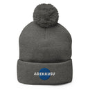 Unisex Pom - Pom Knit Beanie - Arekkusu - Store