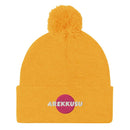 Unisex Pom - Pom Knit Beanie - Arekkusu - Store
