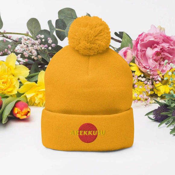 Unisex Pom - Pom Knit Beanie - Arekkusu - Store