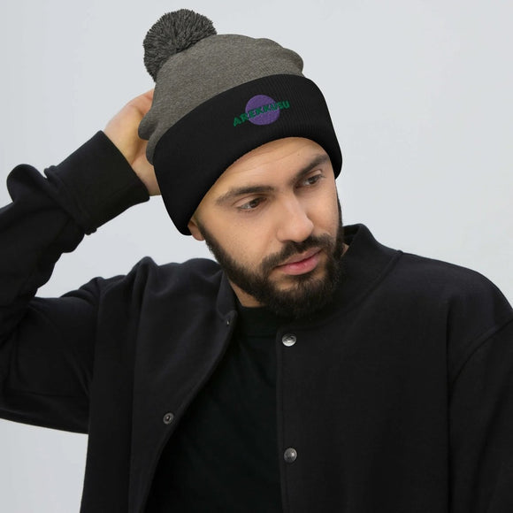 Unisex Pom - Pom Knit Beanie - Arekkusu - Store