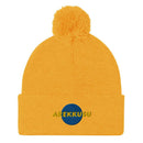 Unisex Pom - Pom Knit Beanie - Arekkusu - Store