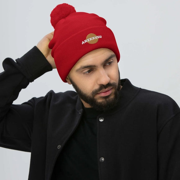 Unisex Pom - Pom Knit Beanie - Arekkusu - Store
