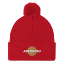 Unisex Pom - Pom Knit Beanie - Arekkusu - Store