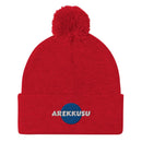 Unisex Pom - Pom Knit Beanie - Arekkusu - Store
