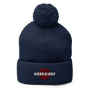 Unisex Pom - Pom Knit Beanie - Arekkusu - Store