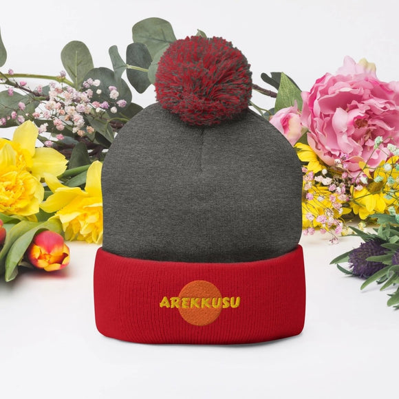 Unisex Pom - Pom Knit Beanie - Arekkusu - Store