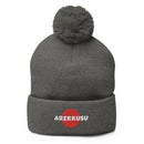 Unisex Pom - Pom Knit Beanie - Arekkusu - Store