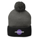 Unisex Pom - Pom Knit Beanie - Arekkusu - Store