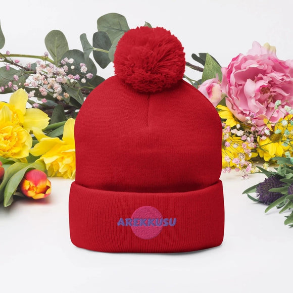 Unisex Pom - Pom Knit Beanie - Arekkusu - Store